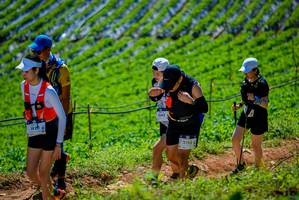 BIB: 1426, 1543, 2755
                            <button type="button" onclick="openModal(19164267)" class="btn btn-primary btn-sm float-right btn-popup" data-toggle="modal" data-target=".modal-high-quality">
                        <i class="fas fa-shopping-cart"></i> Add to Cart
                    </button>
                                            <button type="button" onclick="isThisMe(19164267, true)" class="btn btn-success btn-sm float-right btn-popup btn-isme hidden" data-toggle="tooltip" data-placement="bottom" title="นี่คือรูปของคุณใช่ไหม คลิกที่นี่เพื่อเอาเข้าอัลบั้ม">
                        <i class="fas fa-plus"></i> Add to album
                    </button>
                    <button type="button" onclick="isThisMe(19164267, false)" class="btn btn-warning btn-sm float-right btn-popup btn-isnotme hidden">
                        <i class="fas fa-ban"></i> Remove from album
                    </button>